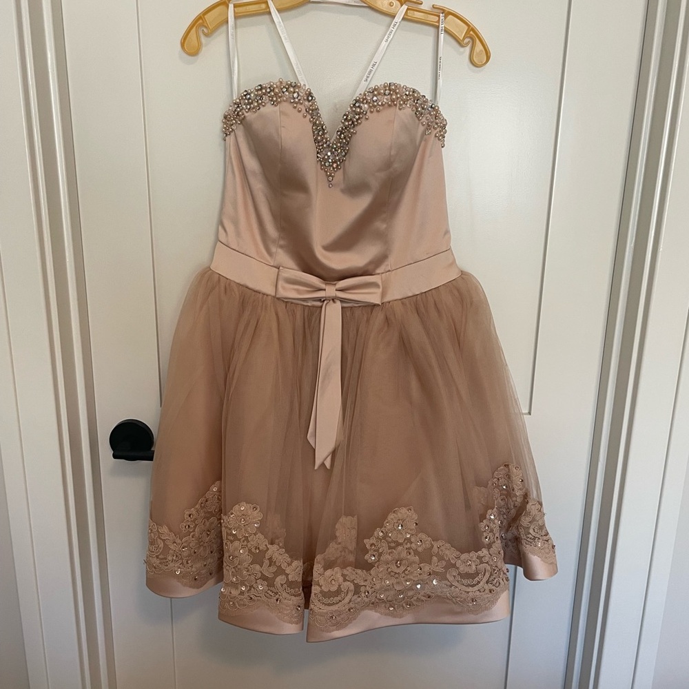 Blush Pink Embellished Tulle Party Dress